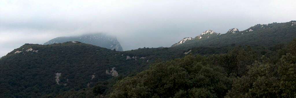 Pic Saint-Loup in the fog