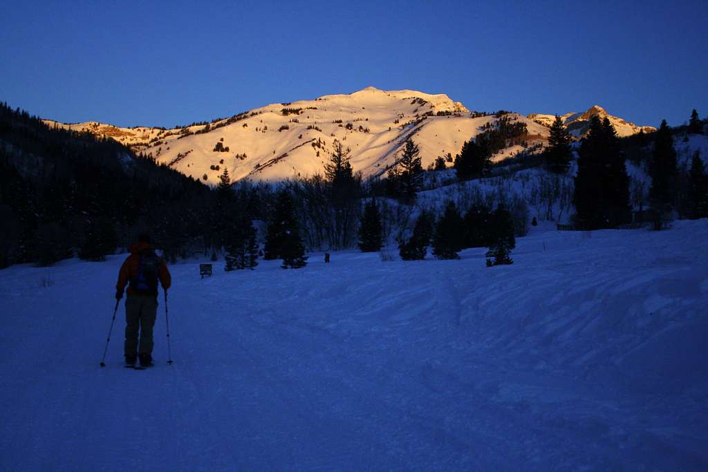 Skinning up to The 3 Temptations at 1st light