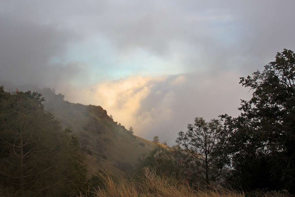 Rolling fog bank, Mt. Diablo