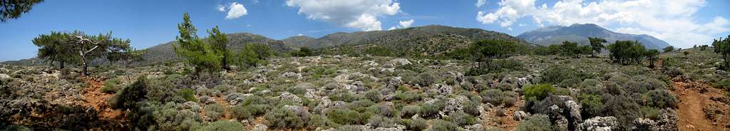 Plateau de Lissos. Crète 