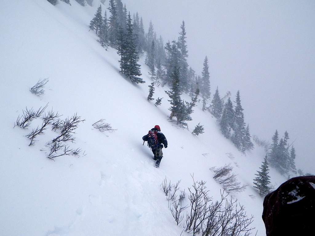 Descending Avalanche Terrain