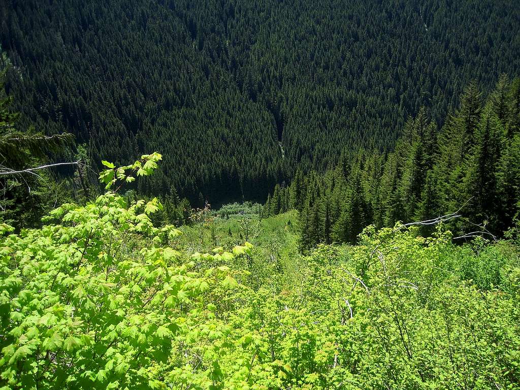 Looking down from White Pass Trail