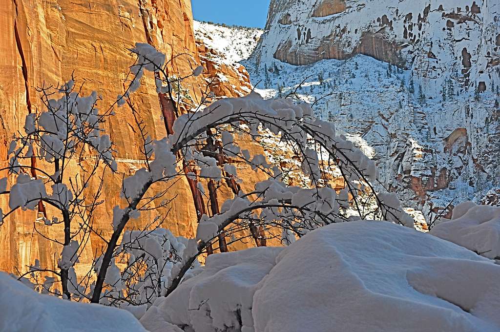 On the way to Angels Landing