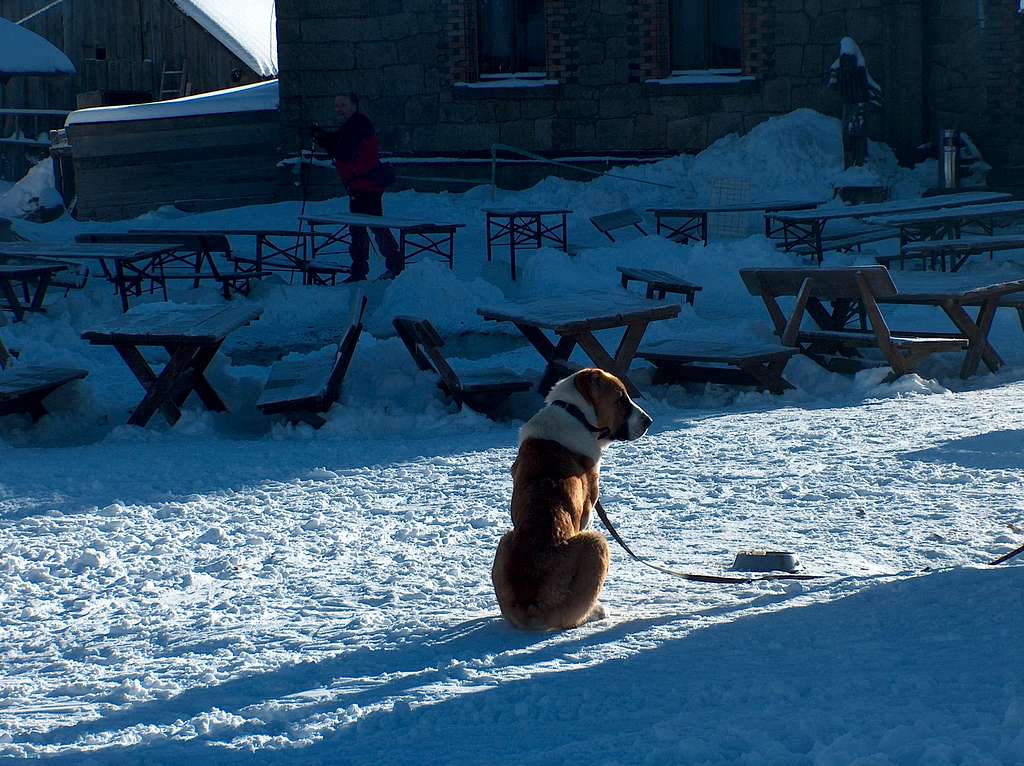 Near the Orle hut