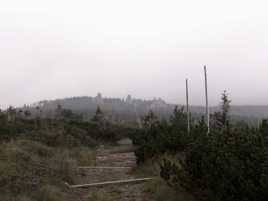 Misty trail...