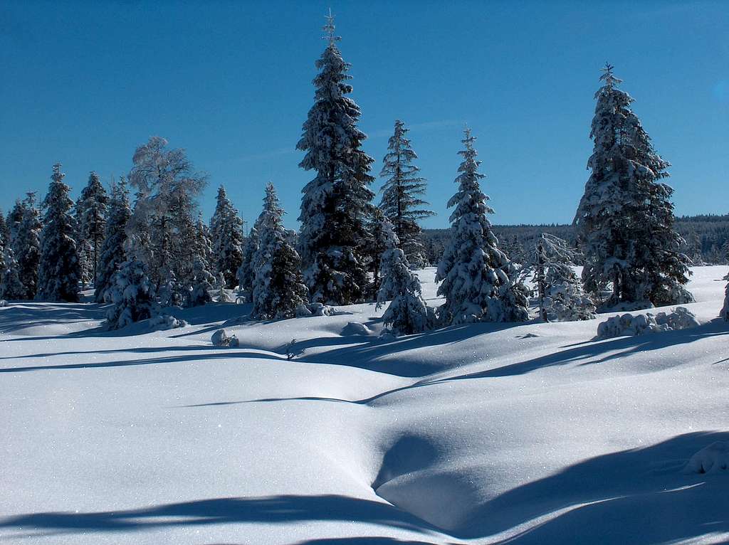 On the way to Chata Górzystów 