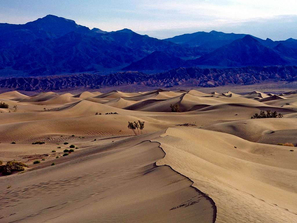 Mesquite Dunes 