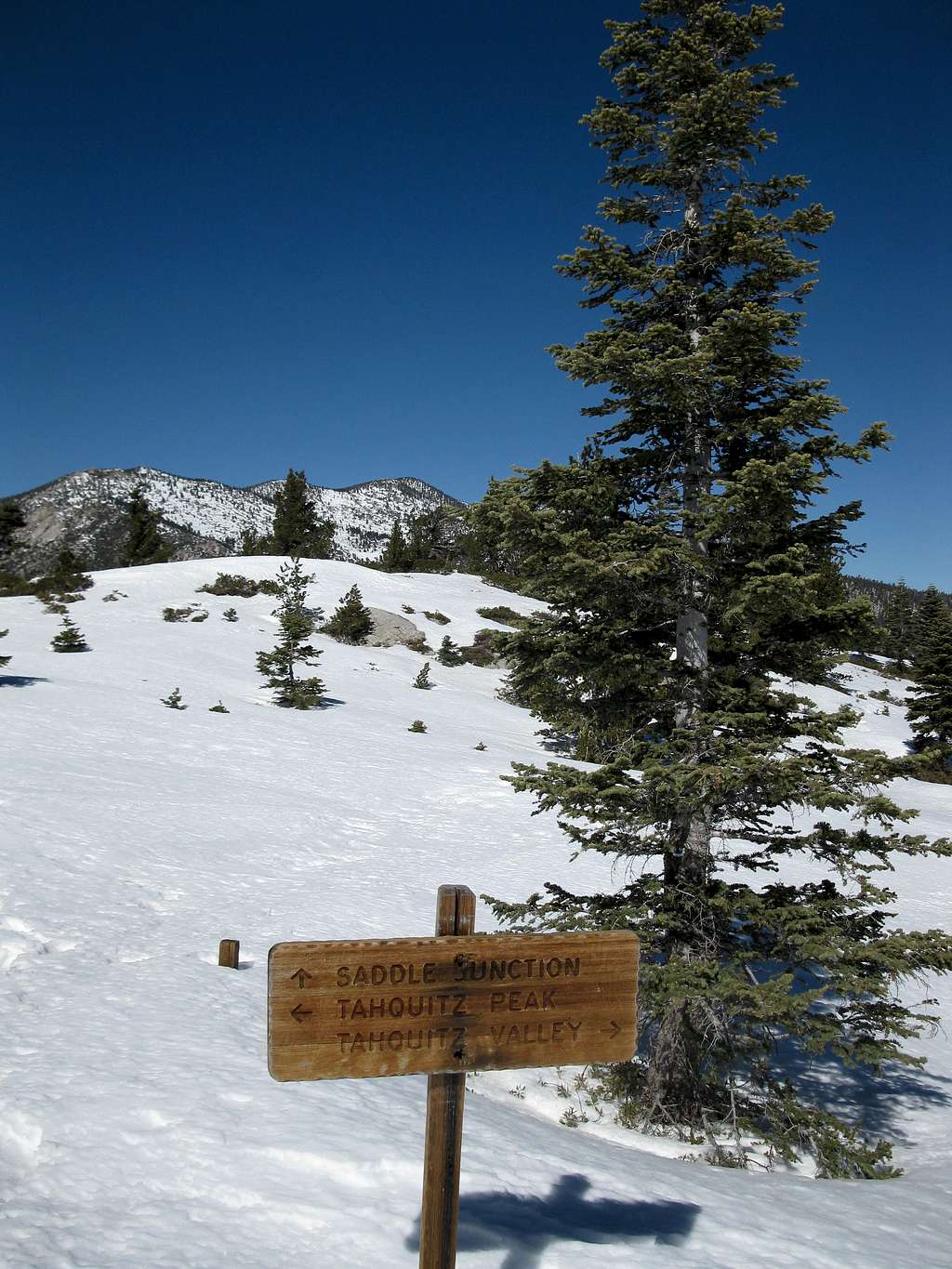 Trail Junction on the PCT
