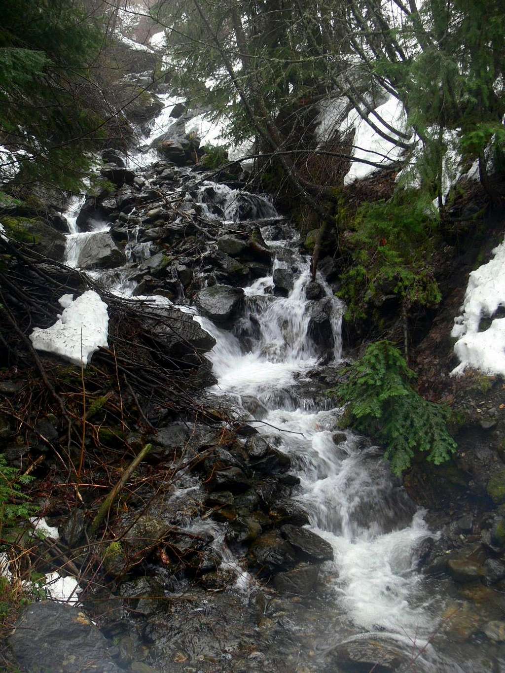 Creek Along Pine Road