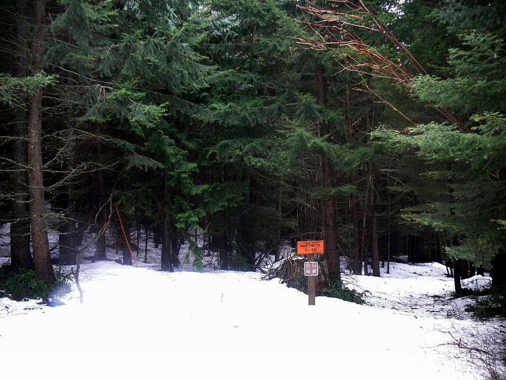 White Pine Creek Trailhead