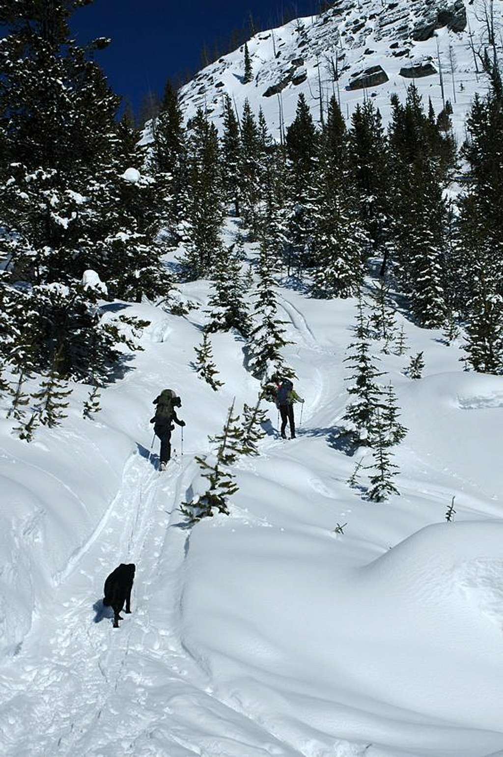 Heading up to the Mark Creek Cabin