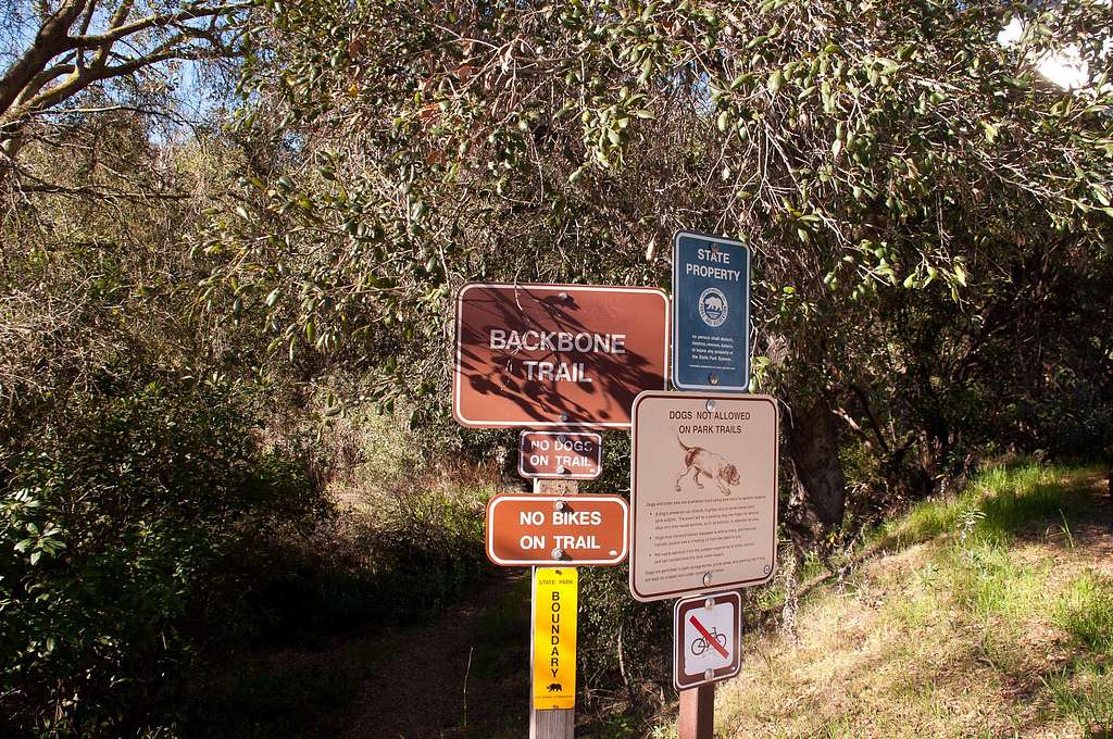 Hondo Canyon Trailhead