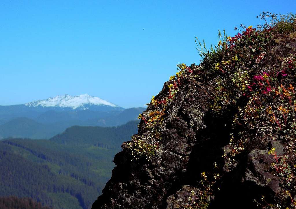 Diamond Peak from Mount June