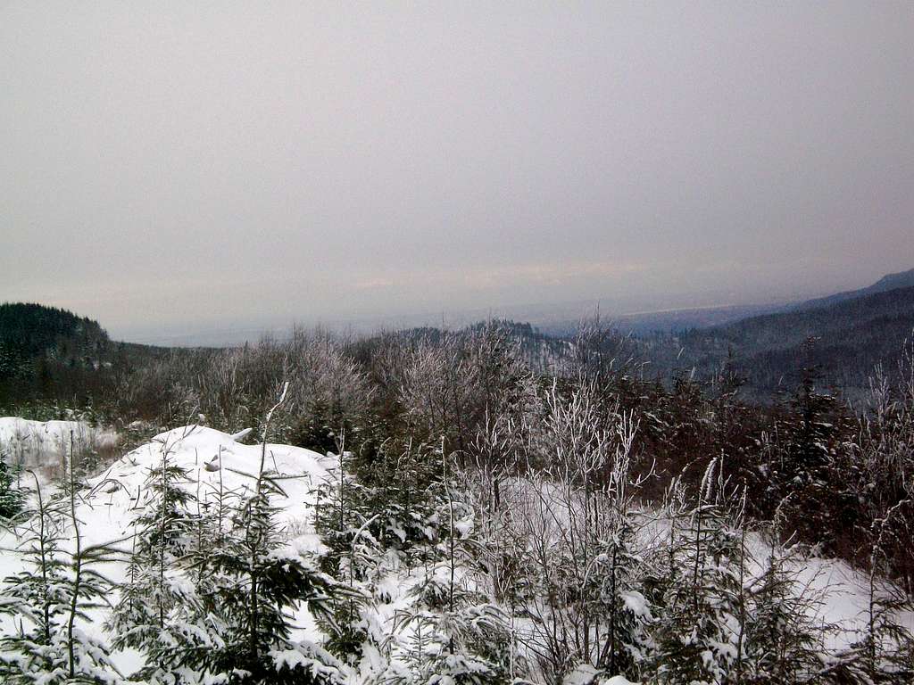 From Taylor Mountain