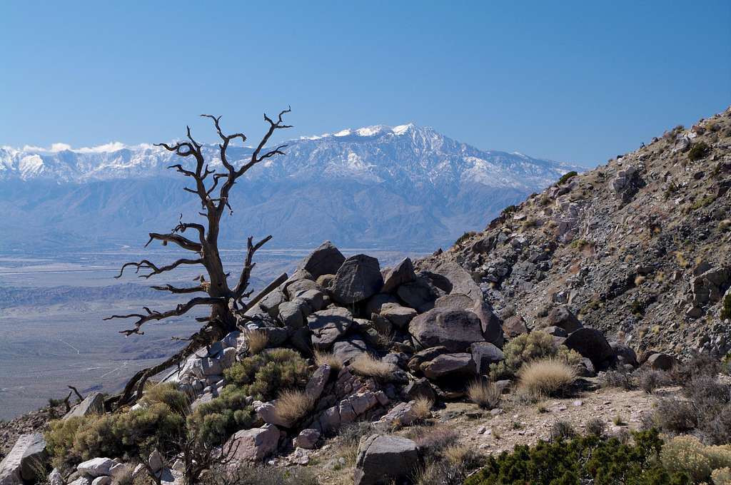 as seen from Keys View in Joshua Tree National Park