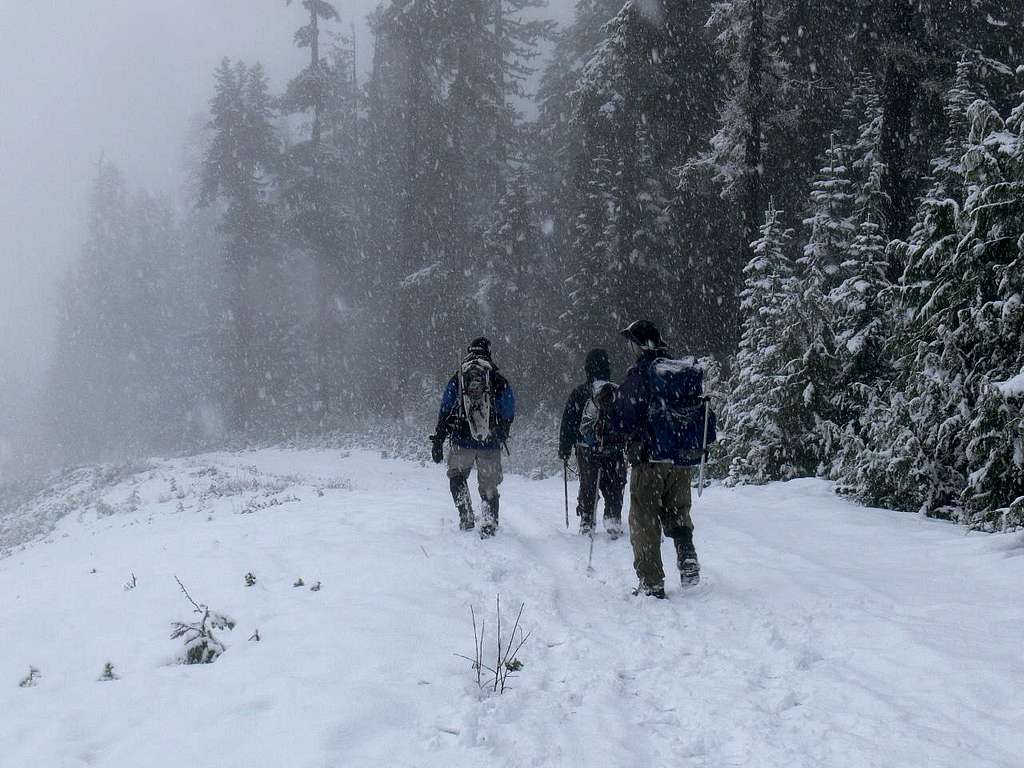 Heading Down in the Snow