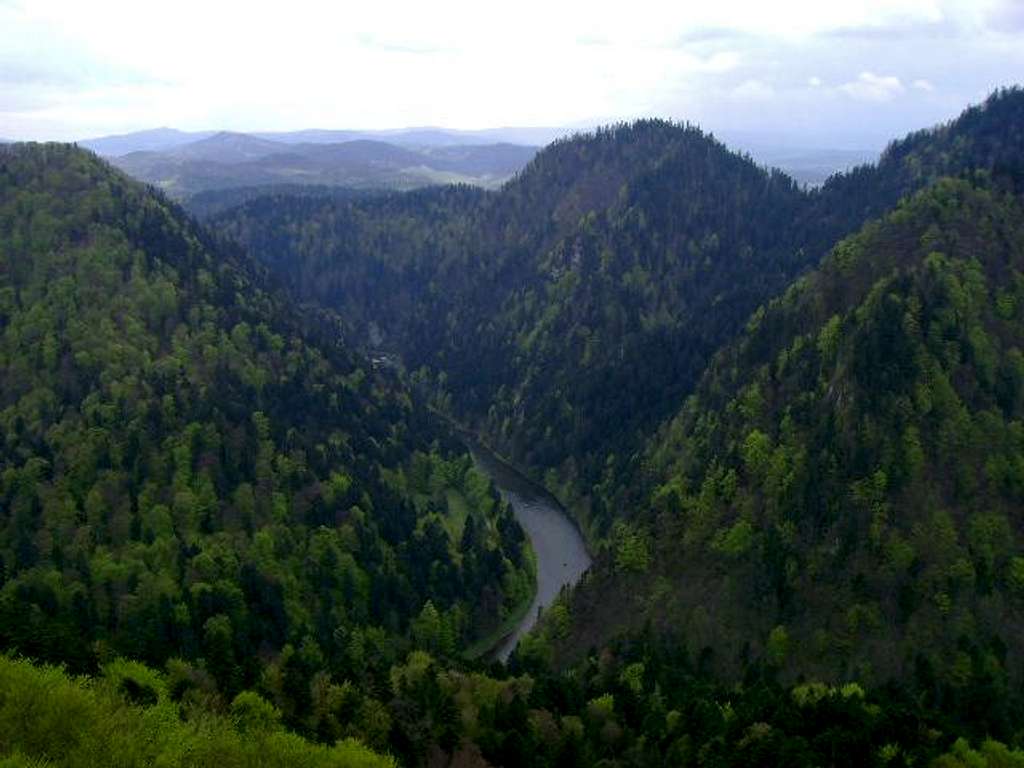 Dunajec River, view from Trzy Korony, Pieniny.