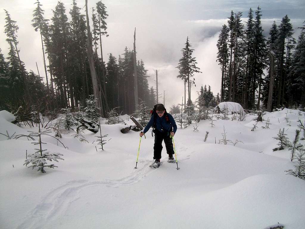 Redwic nearing the summit