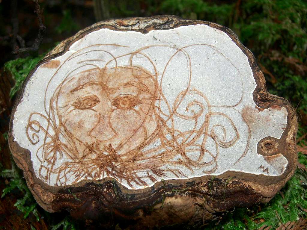 Tree Carving on Tiger Mountain