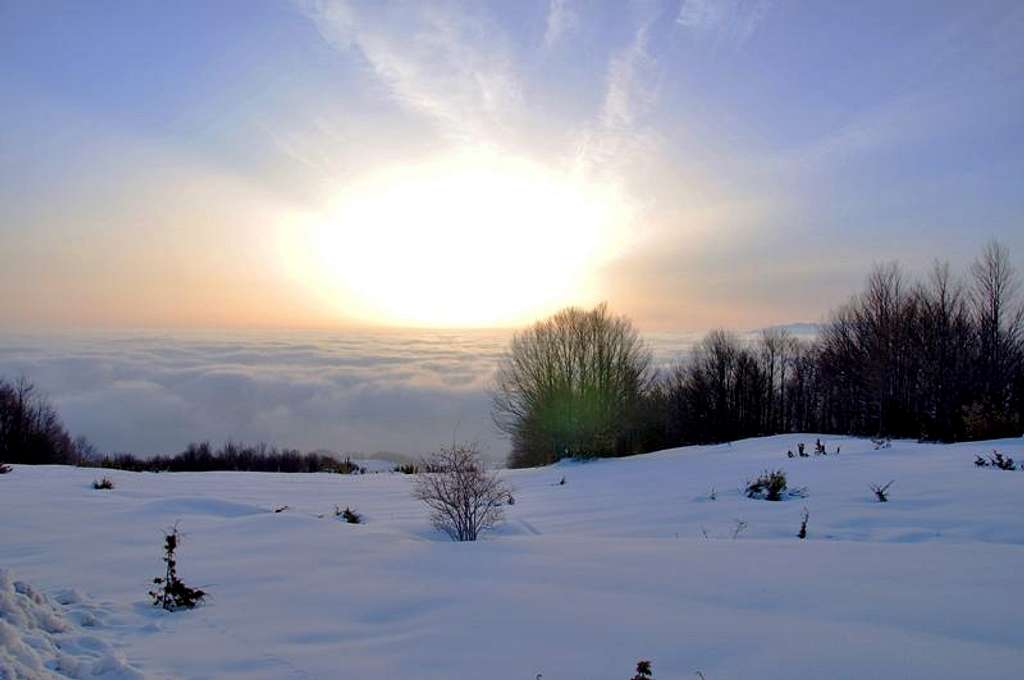 Winter Dream 2011: Above the mist