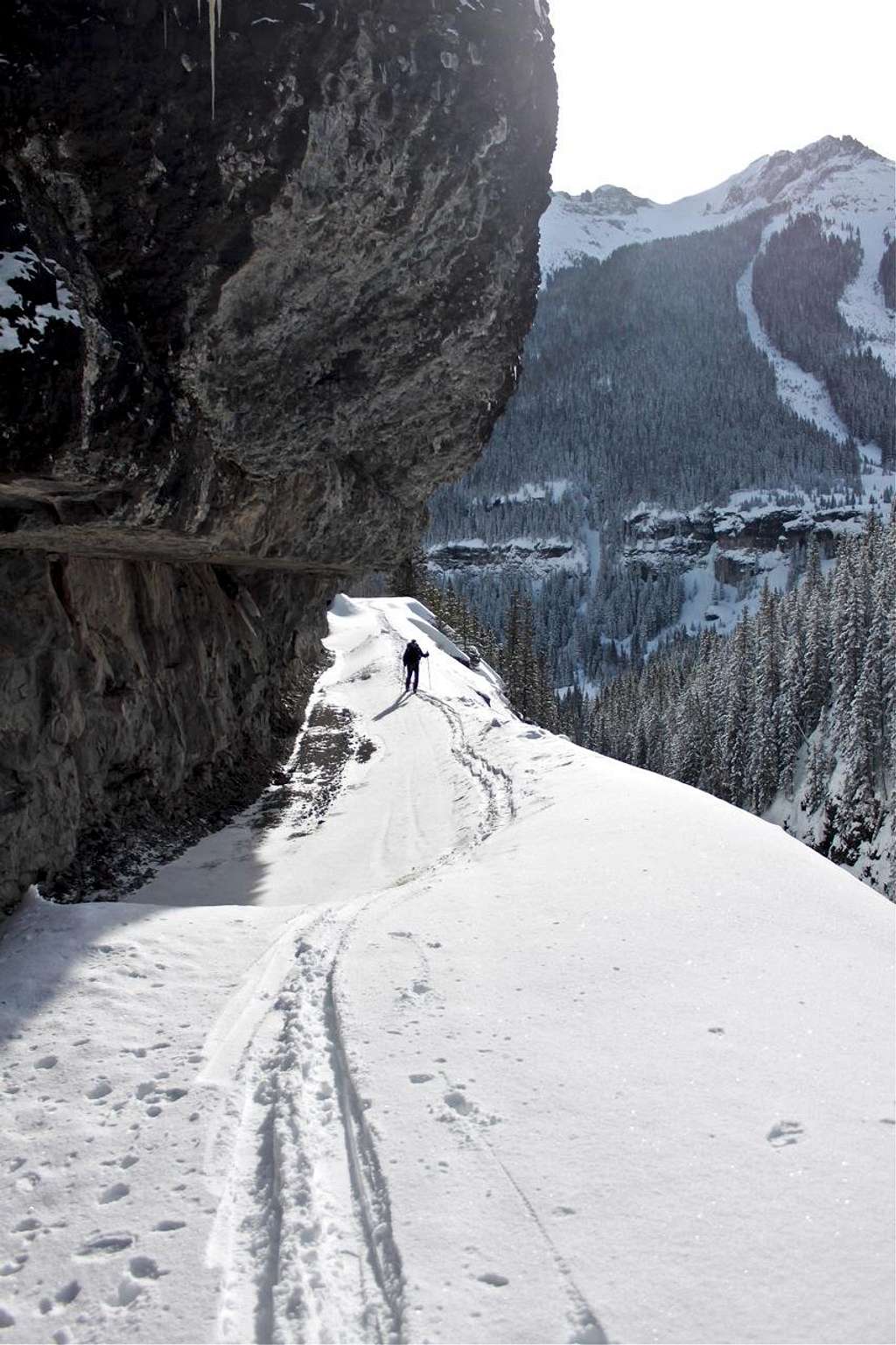 Snowshoeing