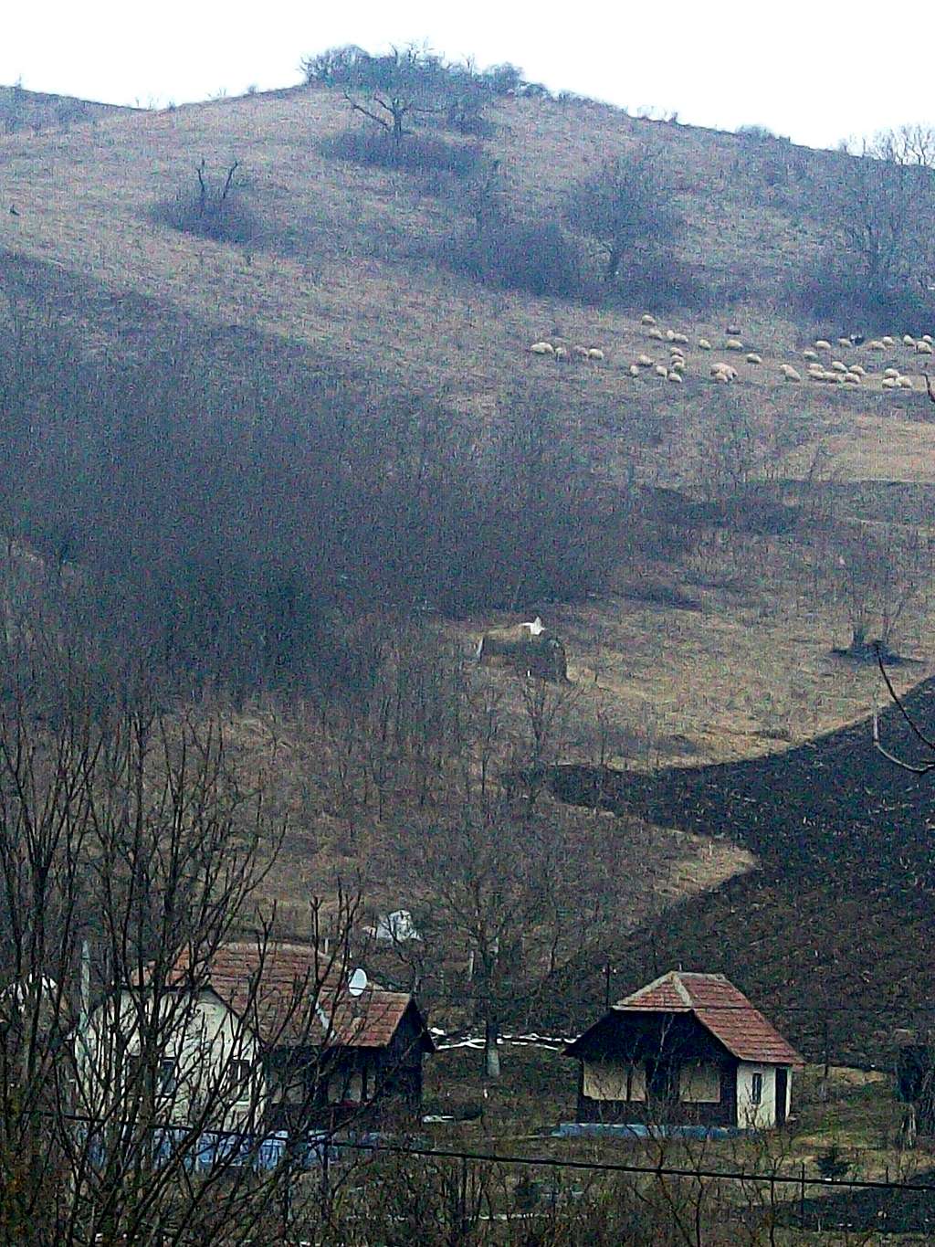 Legii village ,Romania