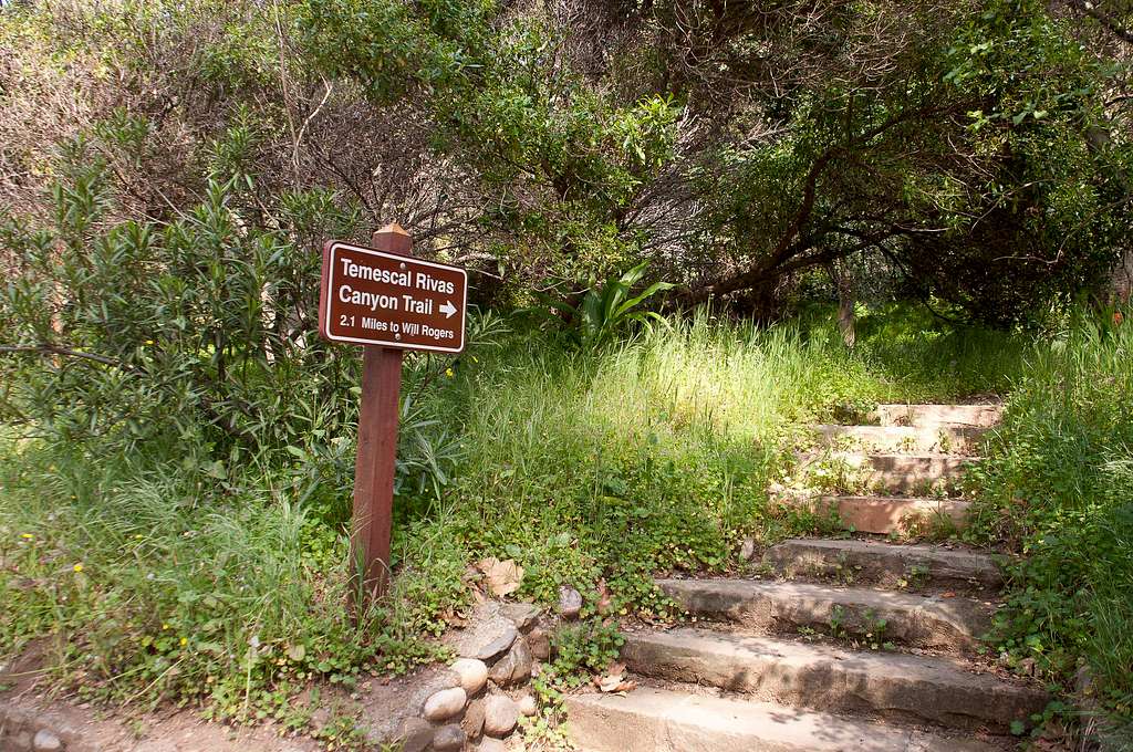 Temescal Rivas Canyon Trail