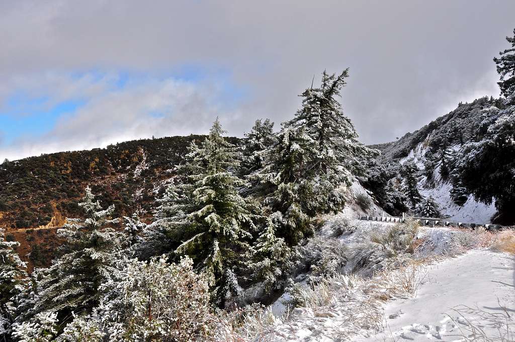 Fist snow on Pine Mountain