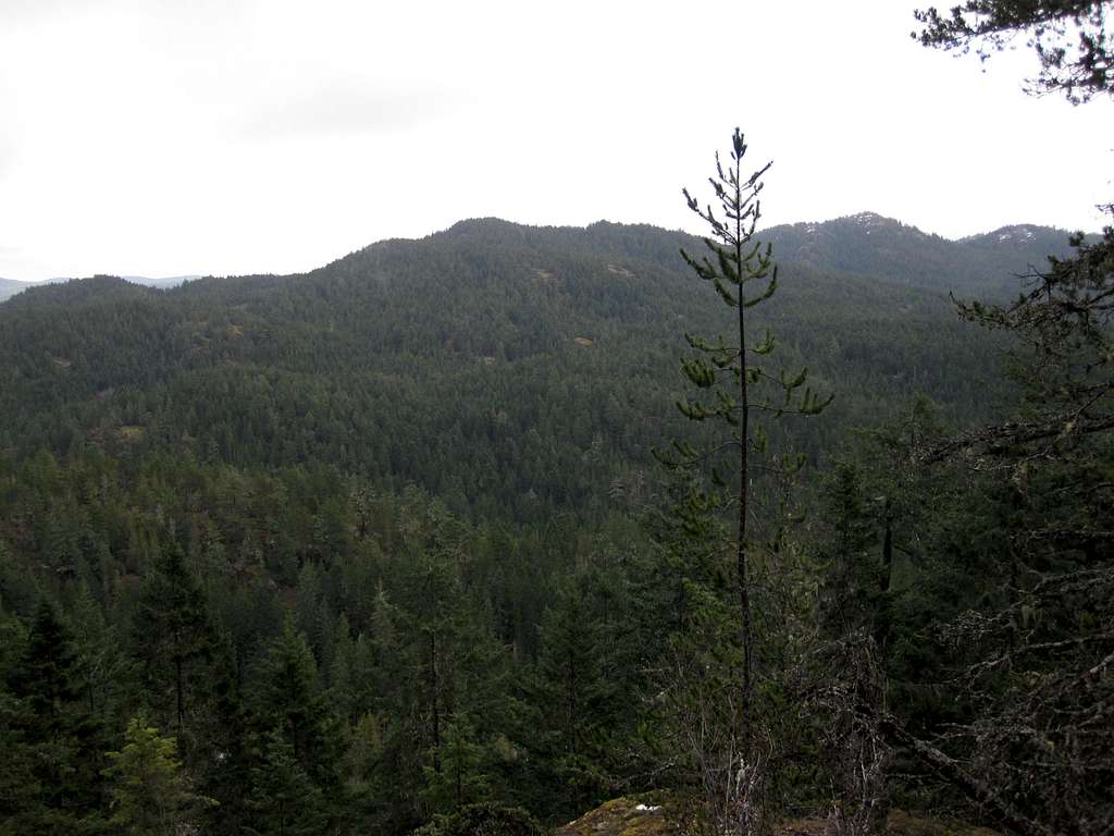 Emperor Mountain from Black Bear Mountain