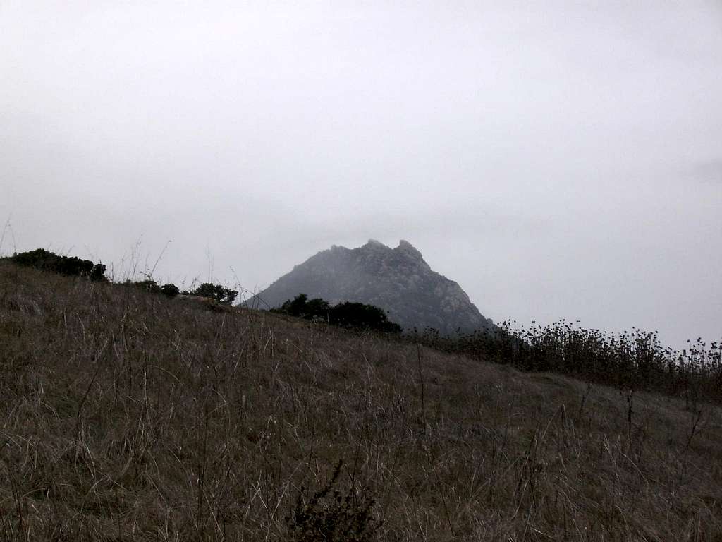 Bishop Peak From Lemon Grove Loop