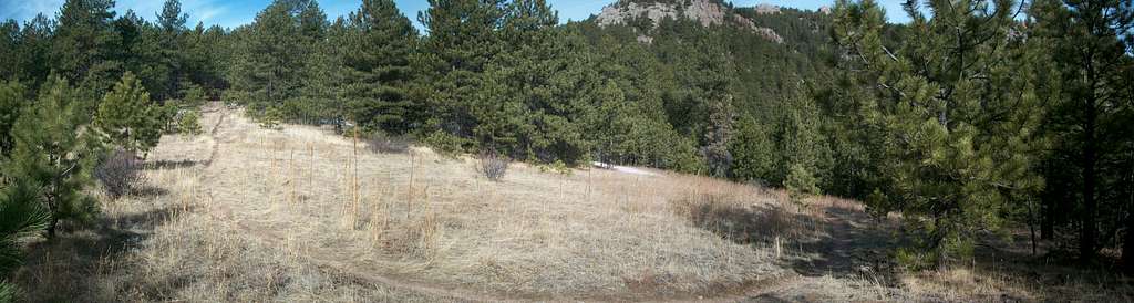 Meadow with cairn trail