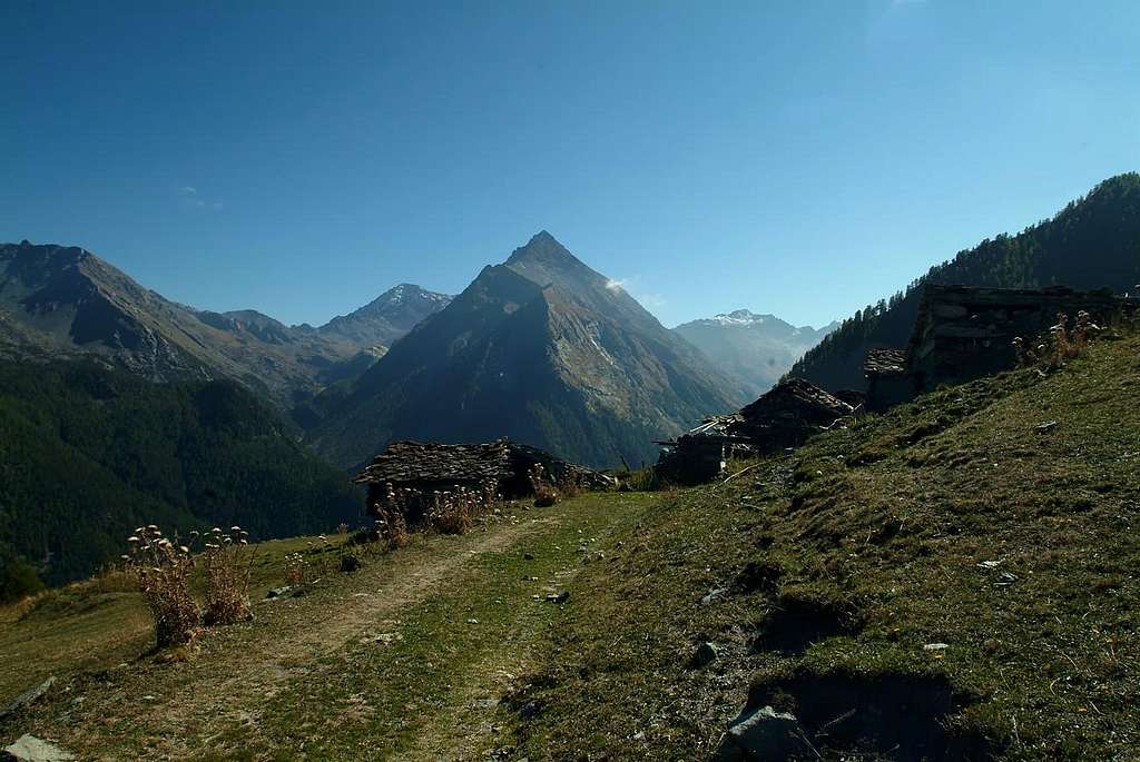 Prapremier ancient Alp 