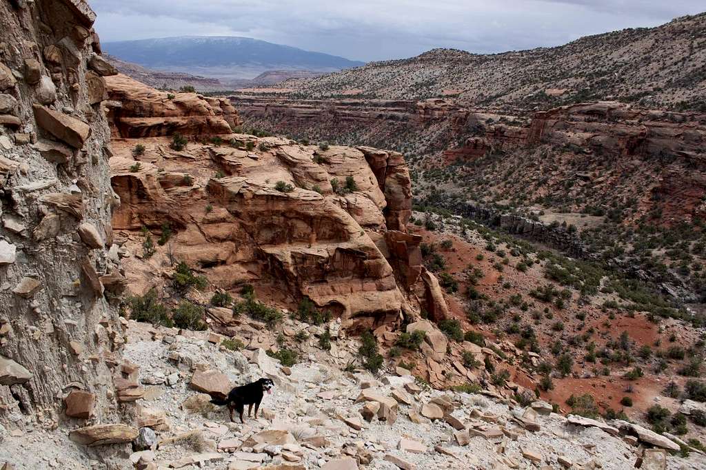 Rocky path into the canyon