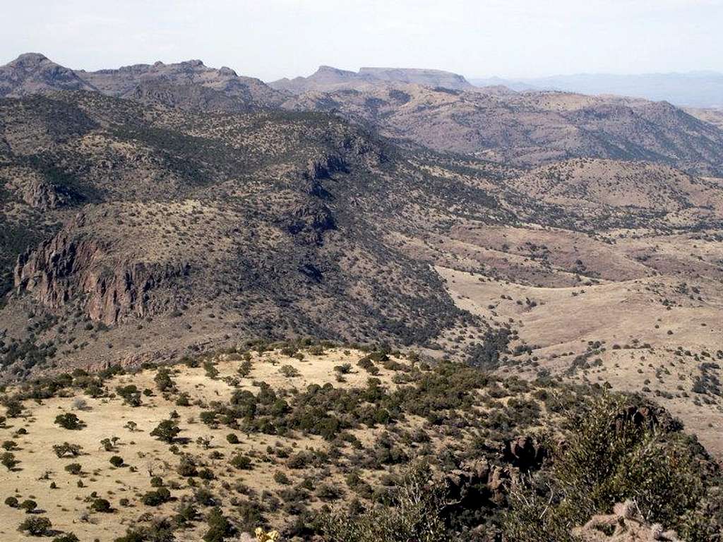 North across Rattlesnake Canyon