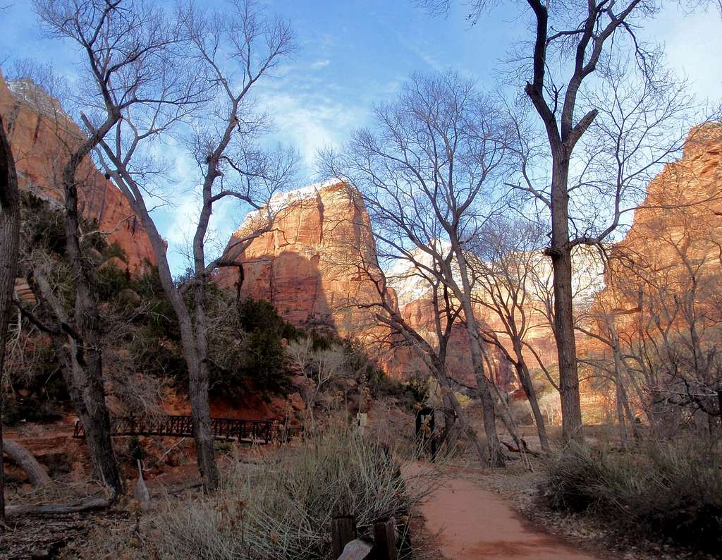 Afternoon Sun On Angels Landing