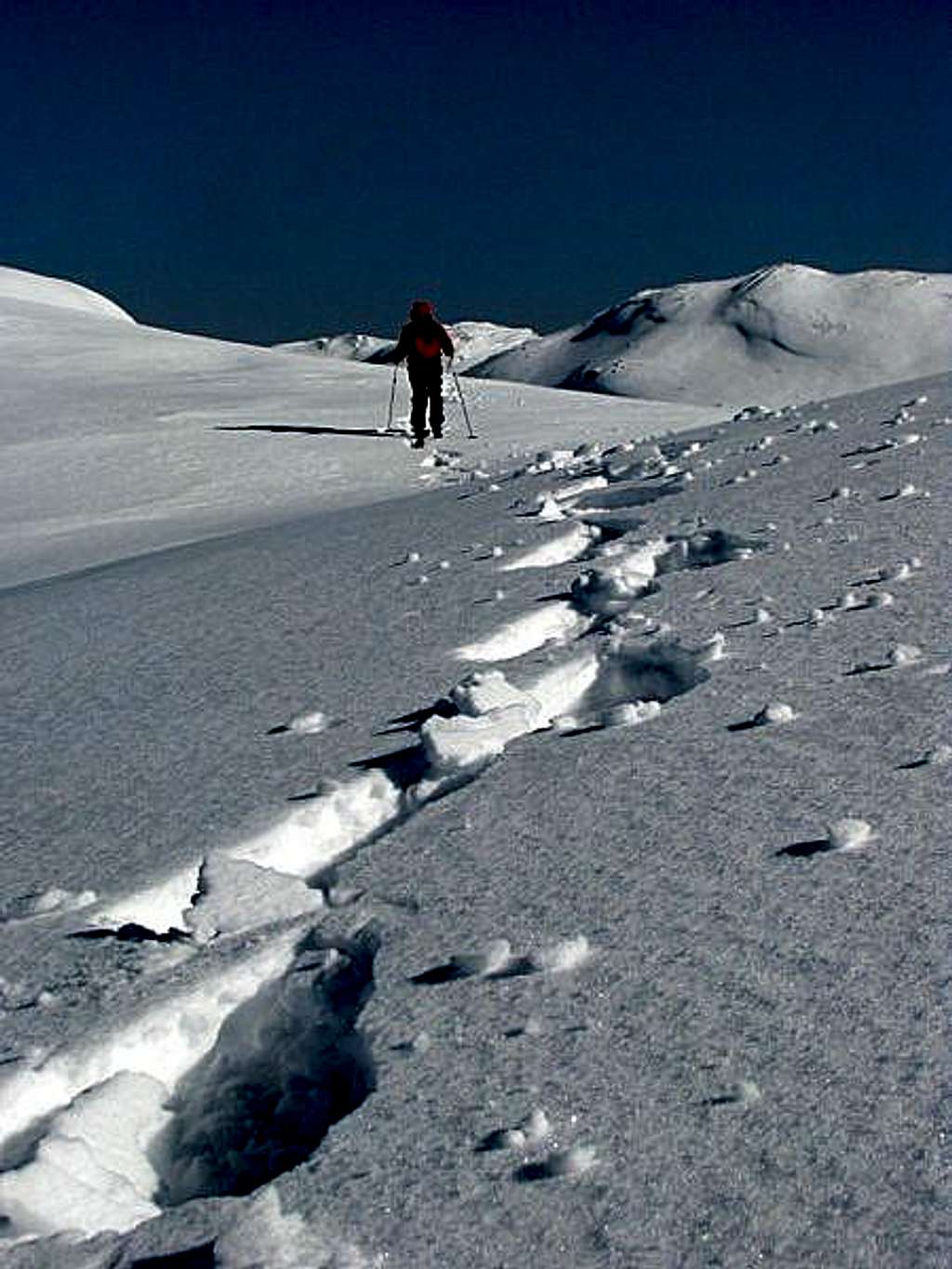 Tracks in the snow