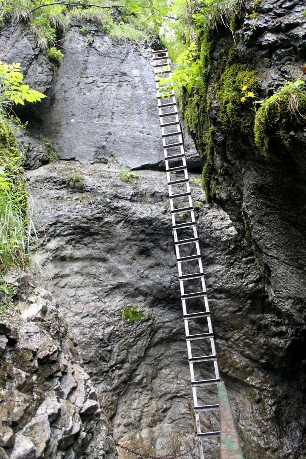 Another long ladder