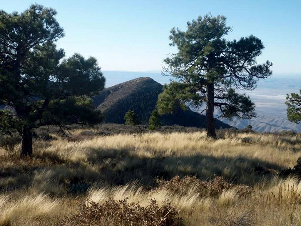 Bartlett Peak from Bush Mountain