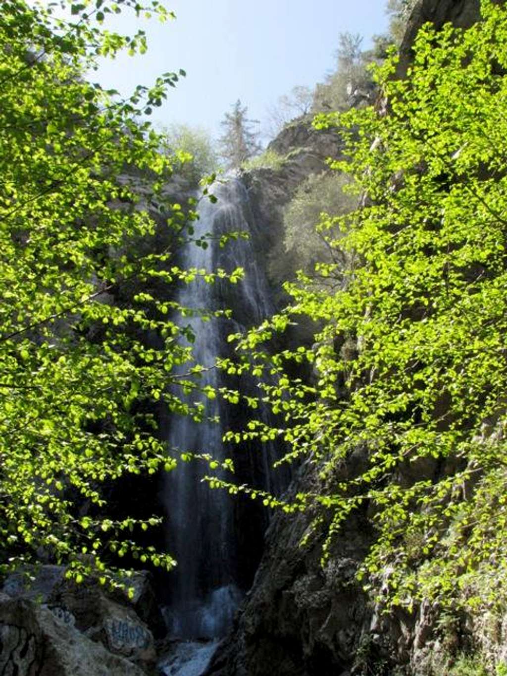 Bonita Falls & Spring Leaves