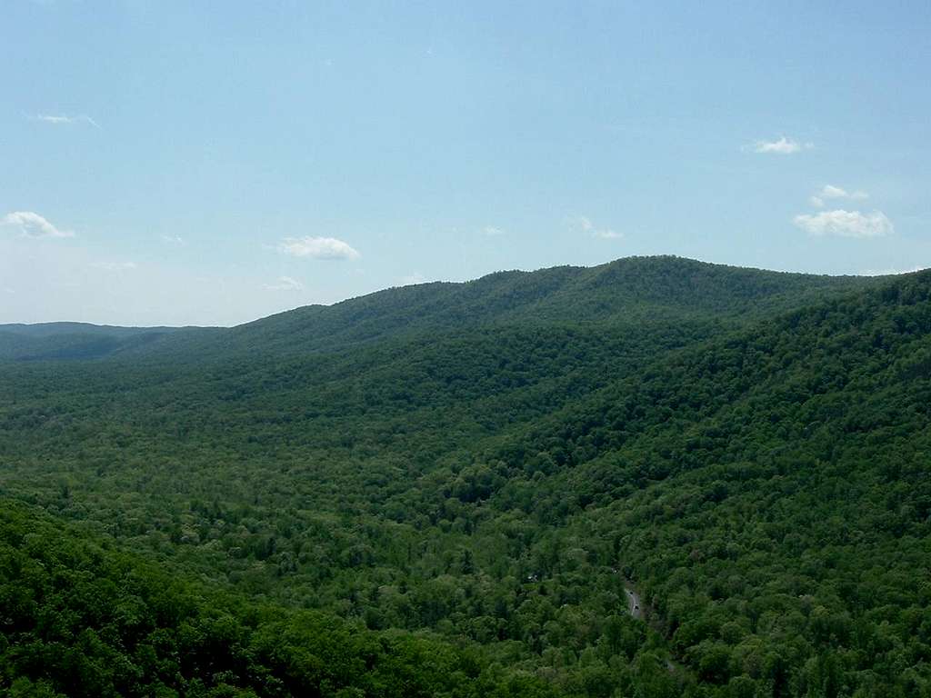 Fort Valley from Buzzard Rock