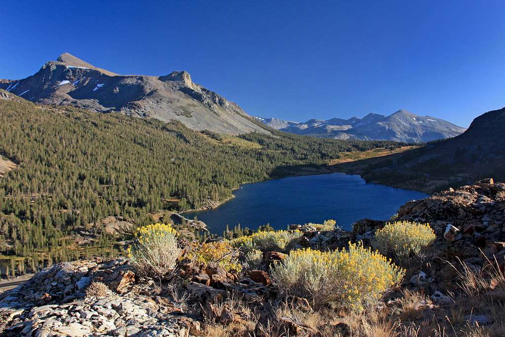 Mt. Dana and Tioga Lake from the north