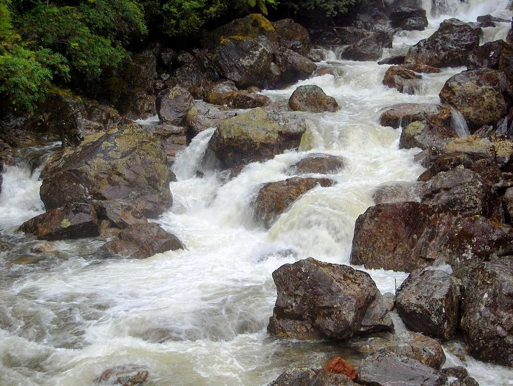 One of the many streams flowing into Doubtful Sound
