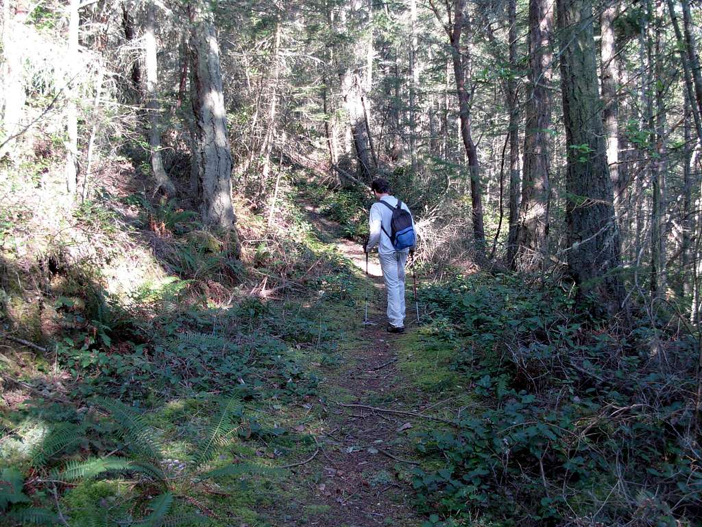 Cypress Head Trail