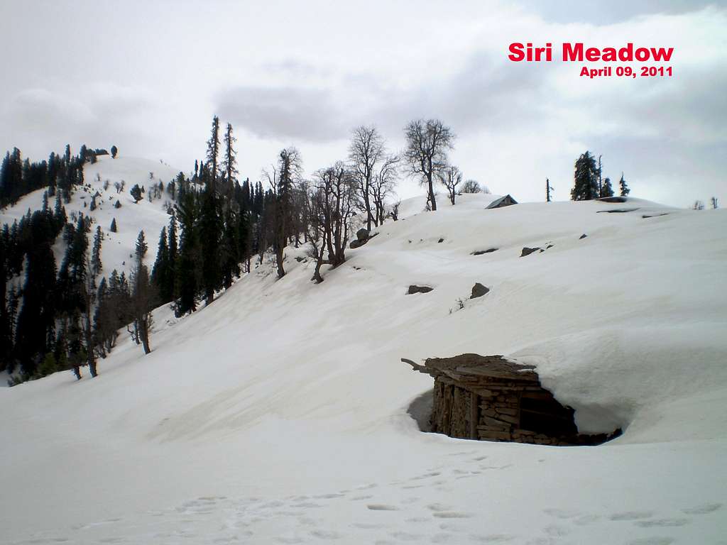 Siri Meadow, Pakistan
