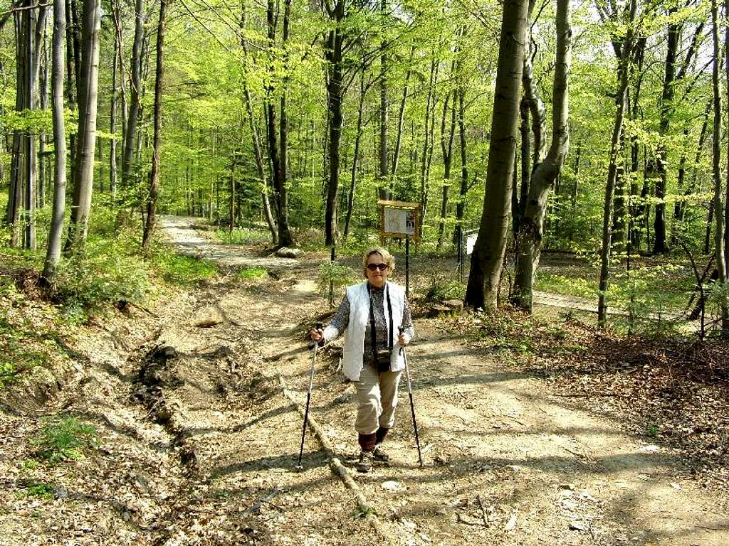 Hiking on Mount Przedziwna