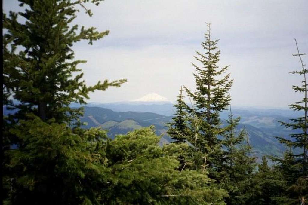 Mt. Adams from Mt. Defiance.