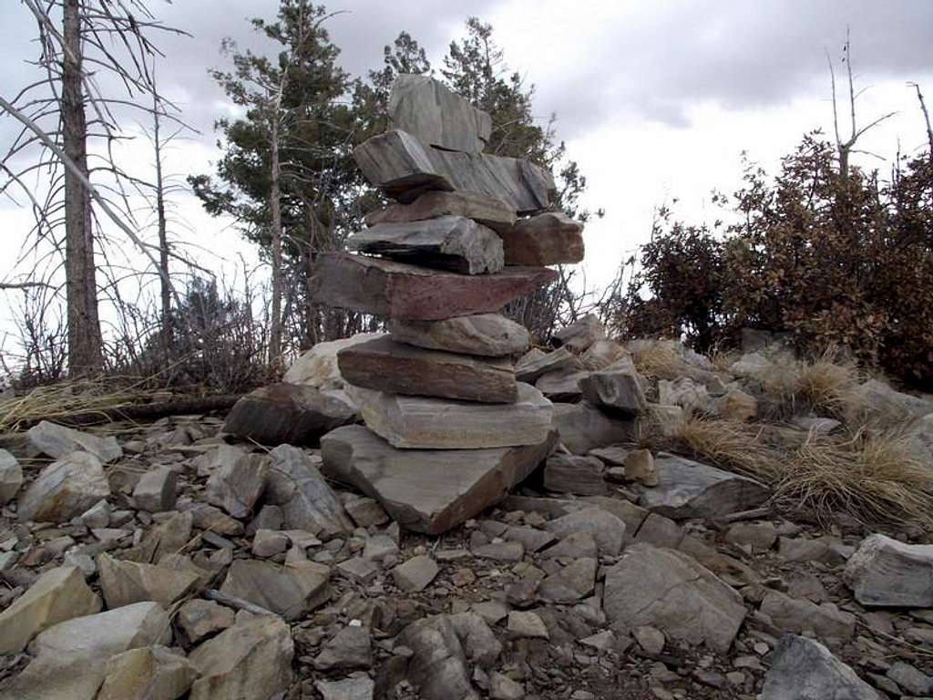 Kellogg Mountain summit cairn