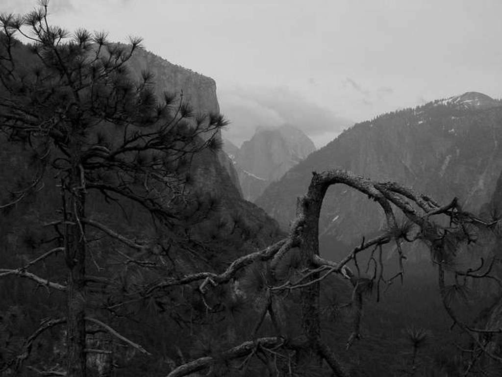 Half Dome from the tunnel.bw
