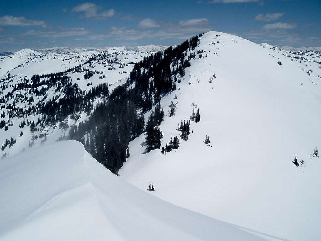 Deadhorse Peak's west ridge