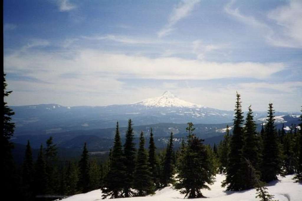 Mt. Hood from the summit of...